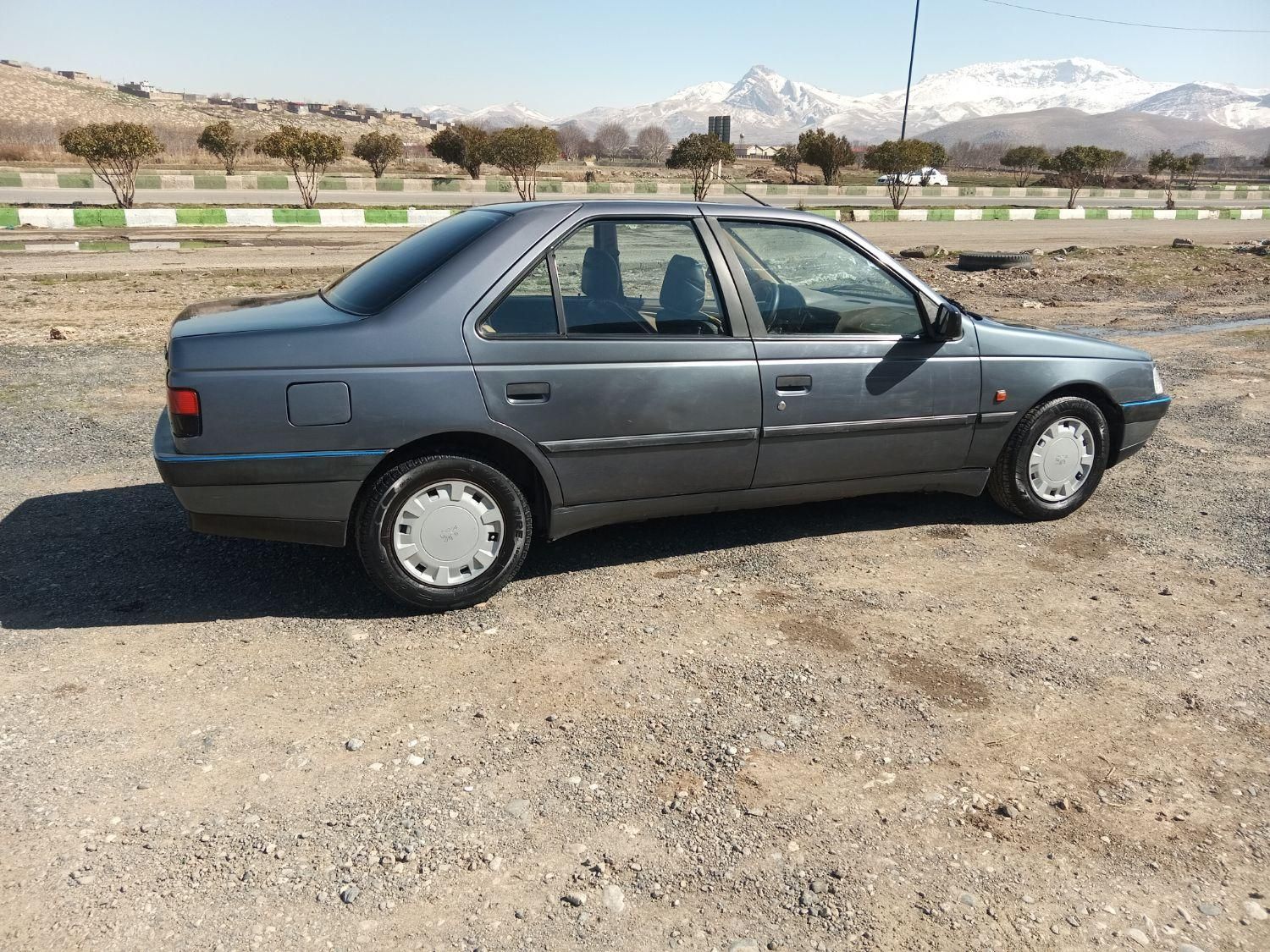 پژو 405 GL - دوگانه سوز CNG - 1373