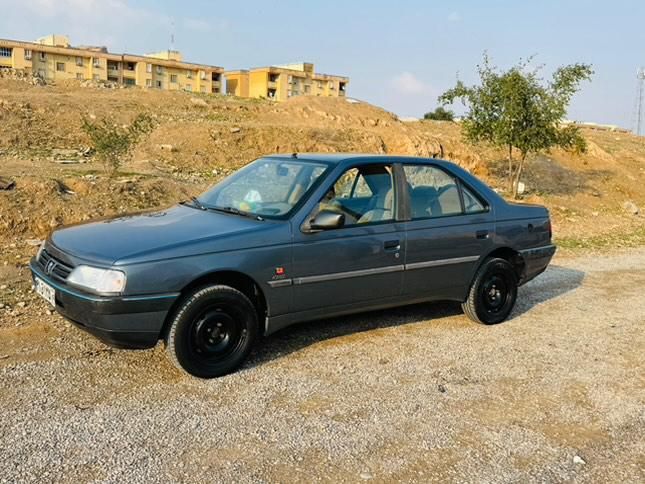 پژو 405 GL - دوگانه سوز CNG - 1371