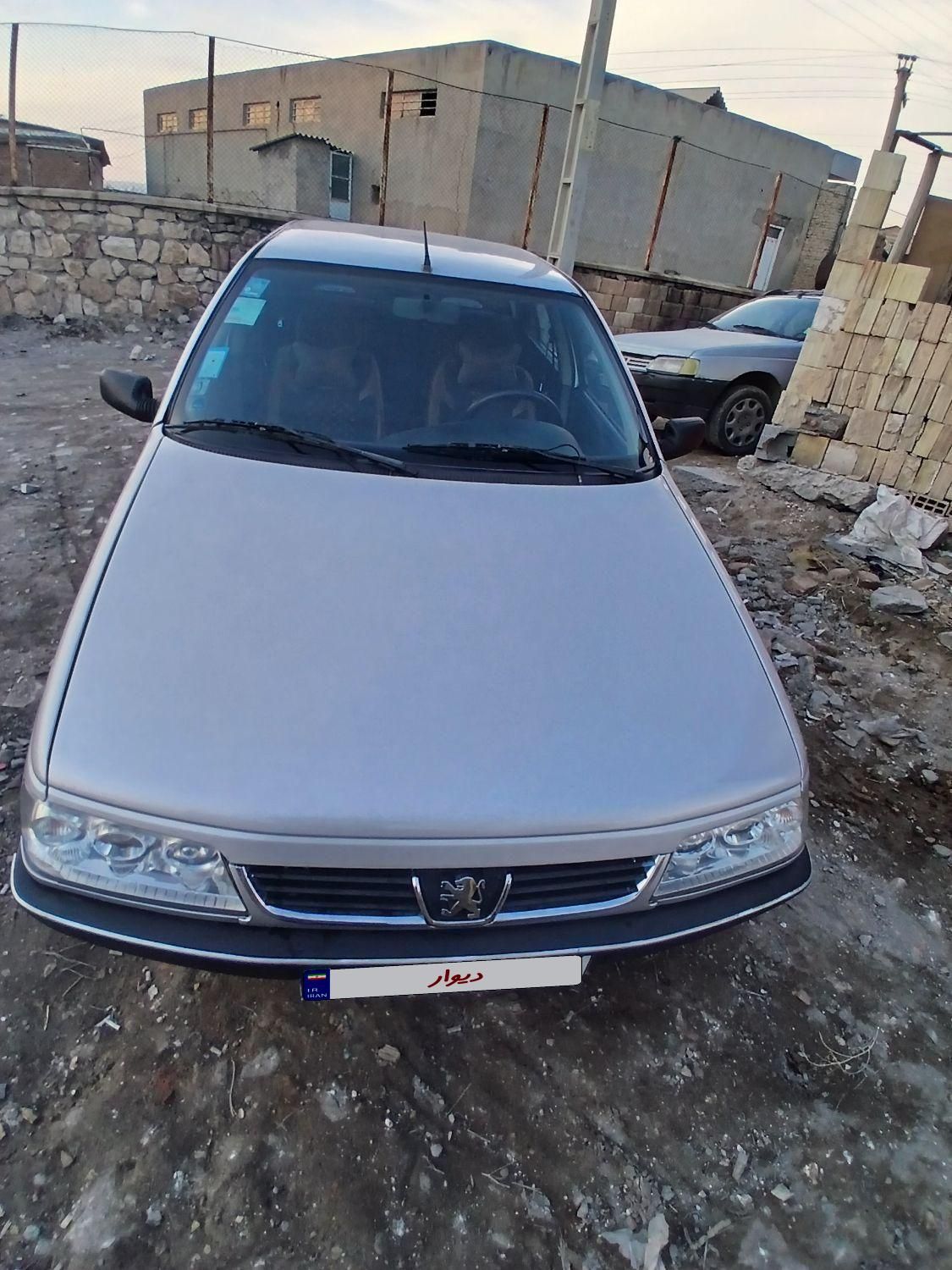 پژو 405 GL - دوگانه سوز CNG - 1370