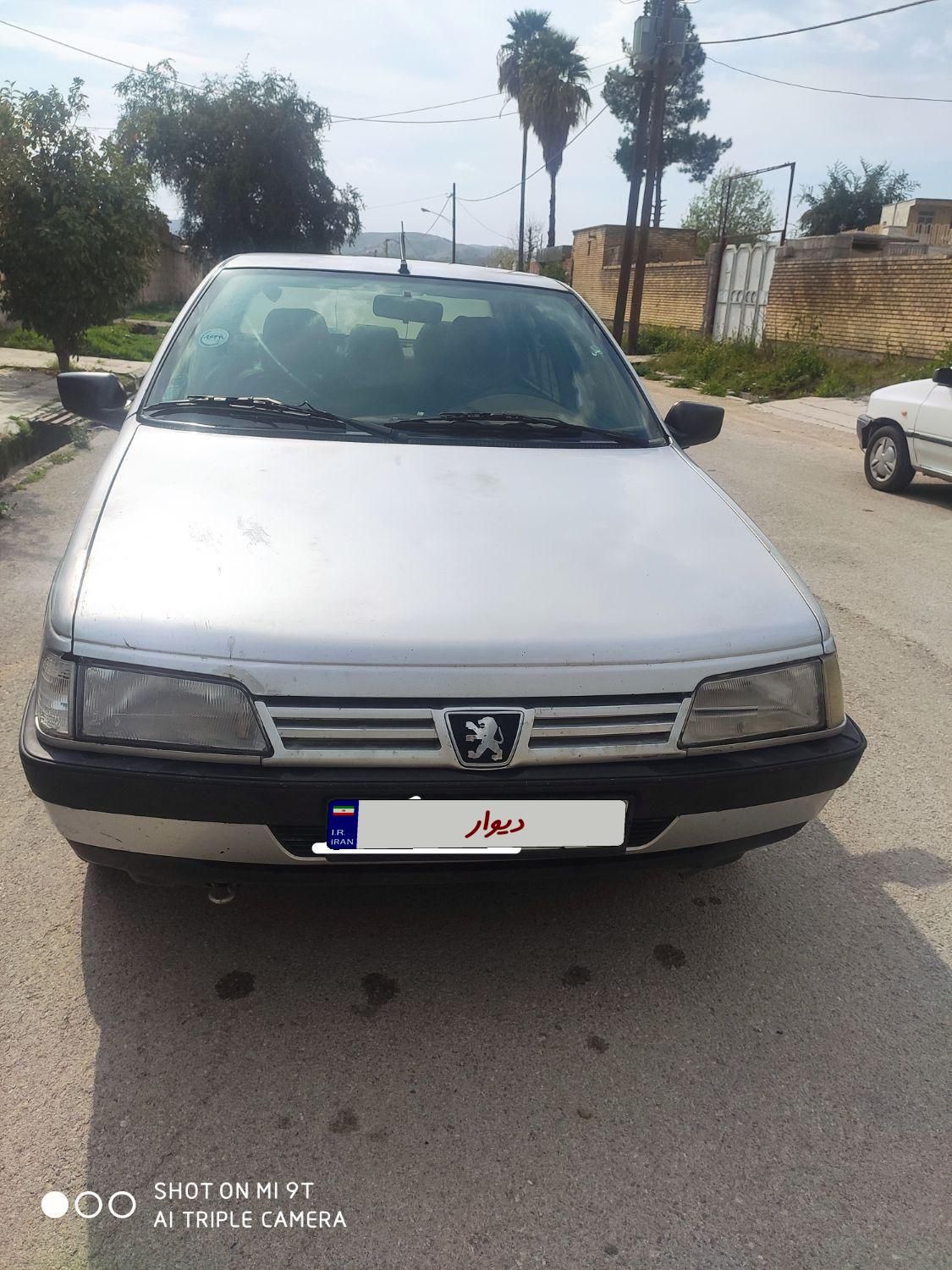 پژو 405 GL - دوگانه سوز CNG - 1369