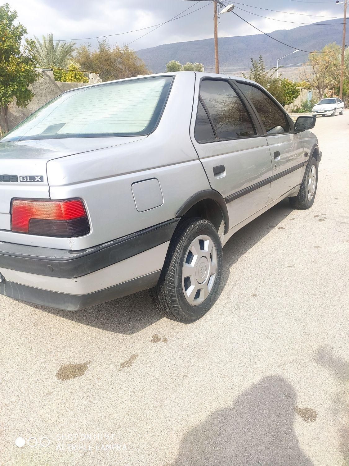 پژو 405 GL - دوگانه سوز CNG - 1369