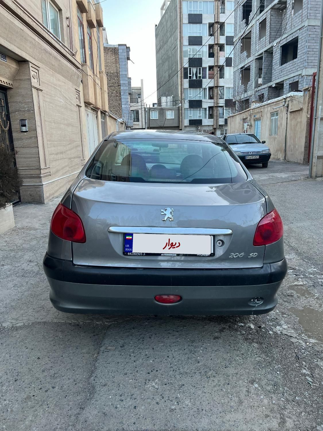 پژو 206 SD v8 - 1389