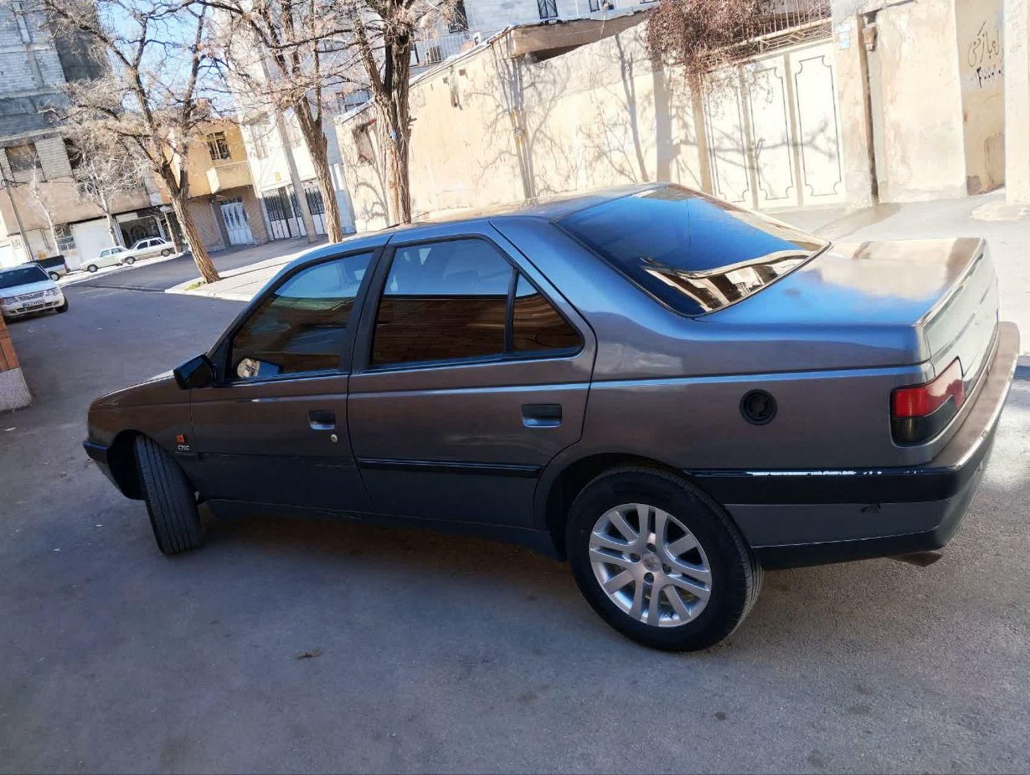 پژو 405 GL - دوگانه سوز CNG - 1369