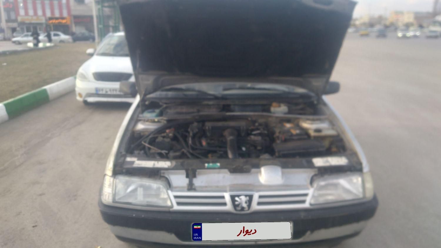 پژو 405 GL - دوگانه سوز CNG - 1373