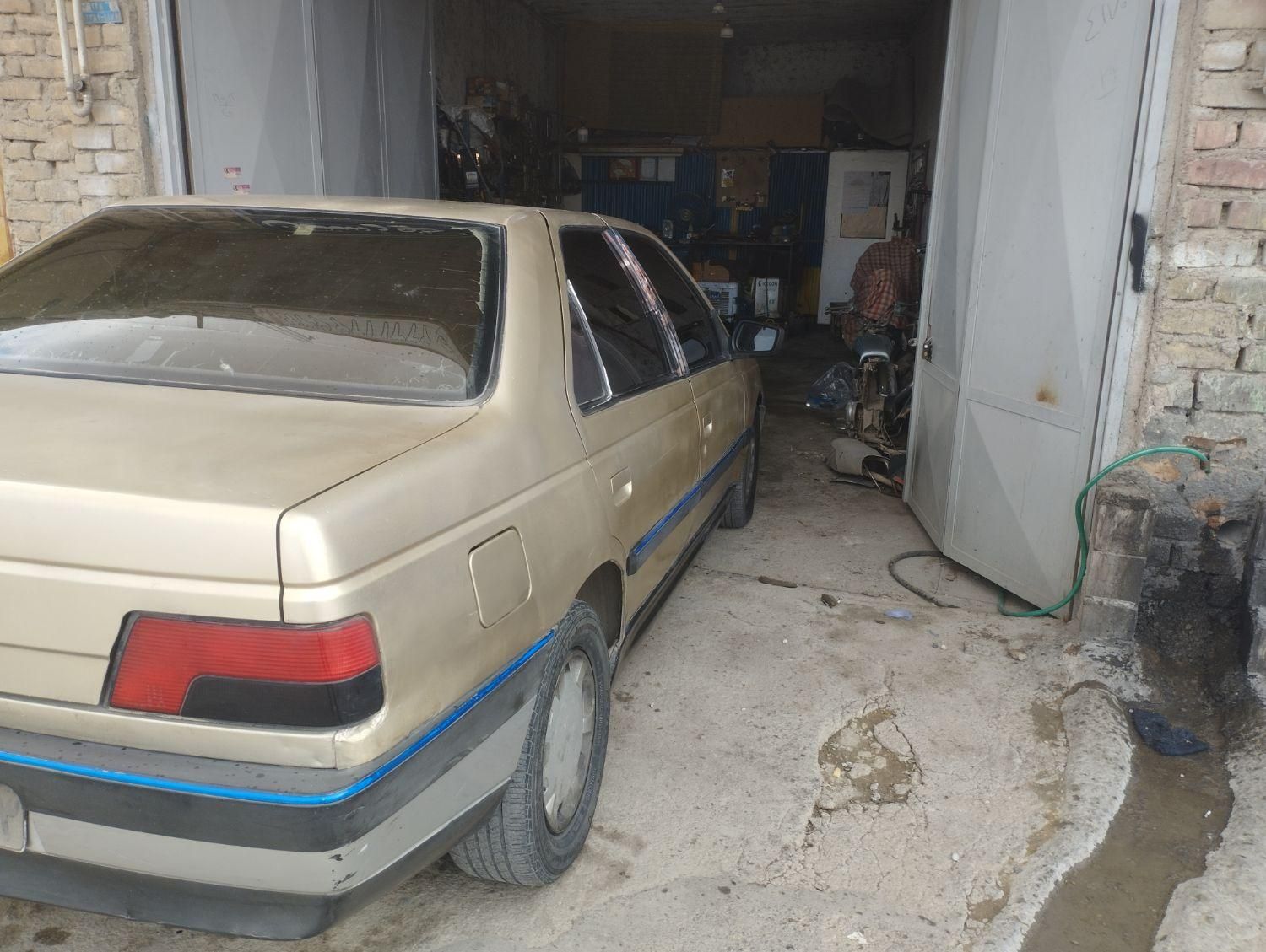 پژو 405 GL - دوگانه سوز CNG - 1369