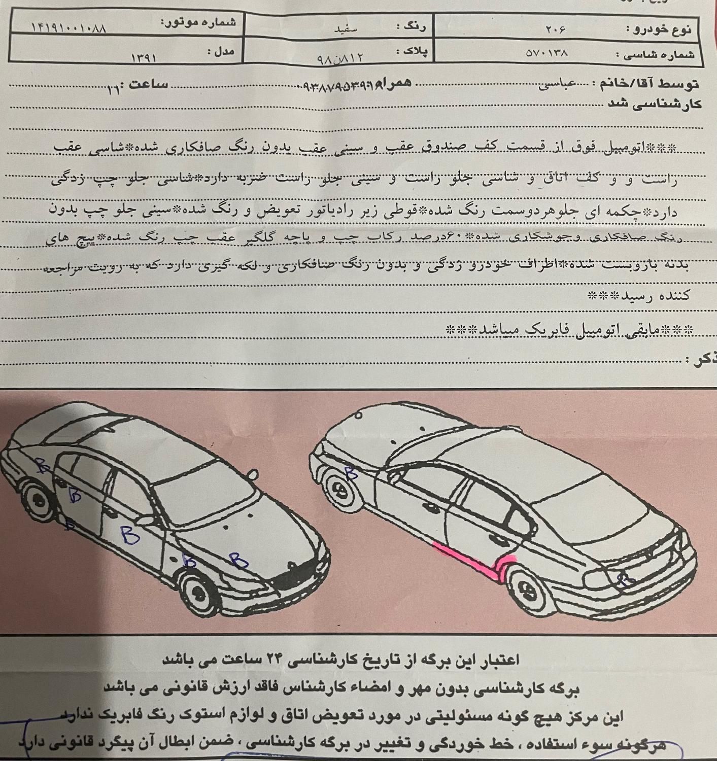 پژو 206 تیپ 2 - 1391