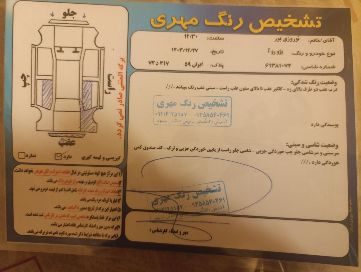 پژو روآ دوگانه سوز - 1387