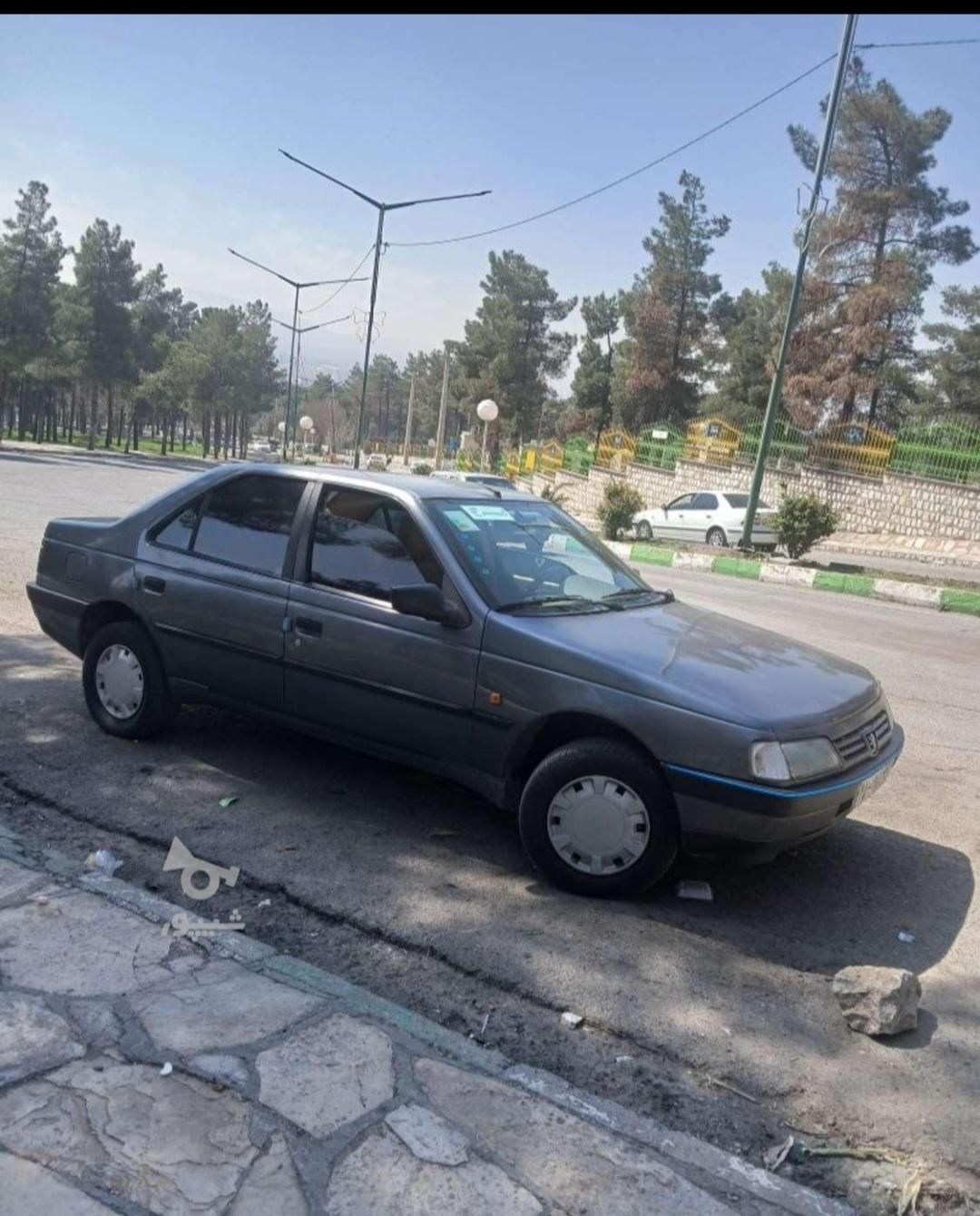 پژو 405 GL - دوگانه سوز CNG - 1369