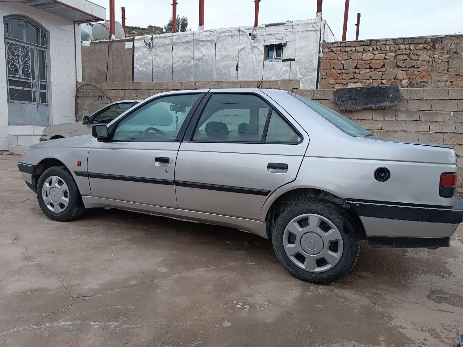 پژو 405 GL - دوگانه سوز CNG - 1369