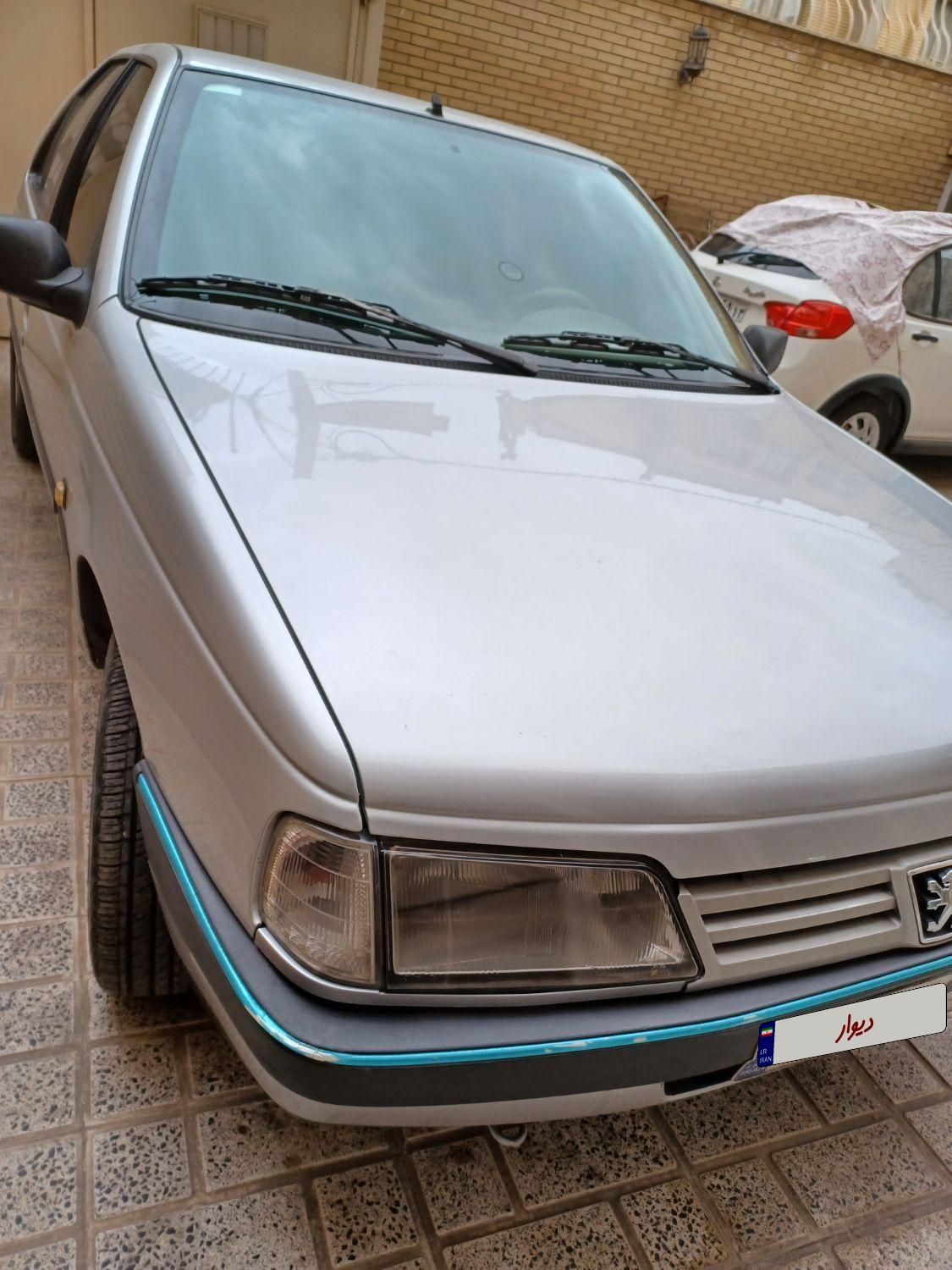 پژو 405 GL - دوگانه سوز CNG - 1369