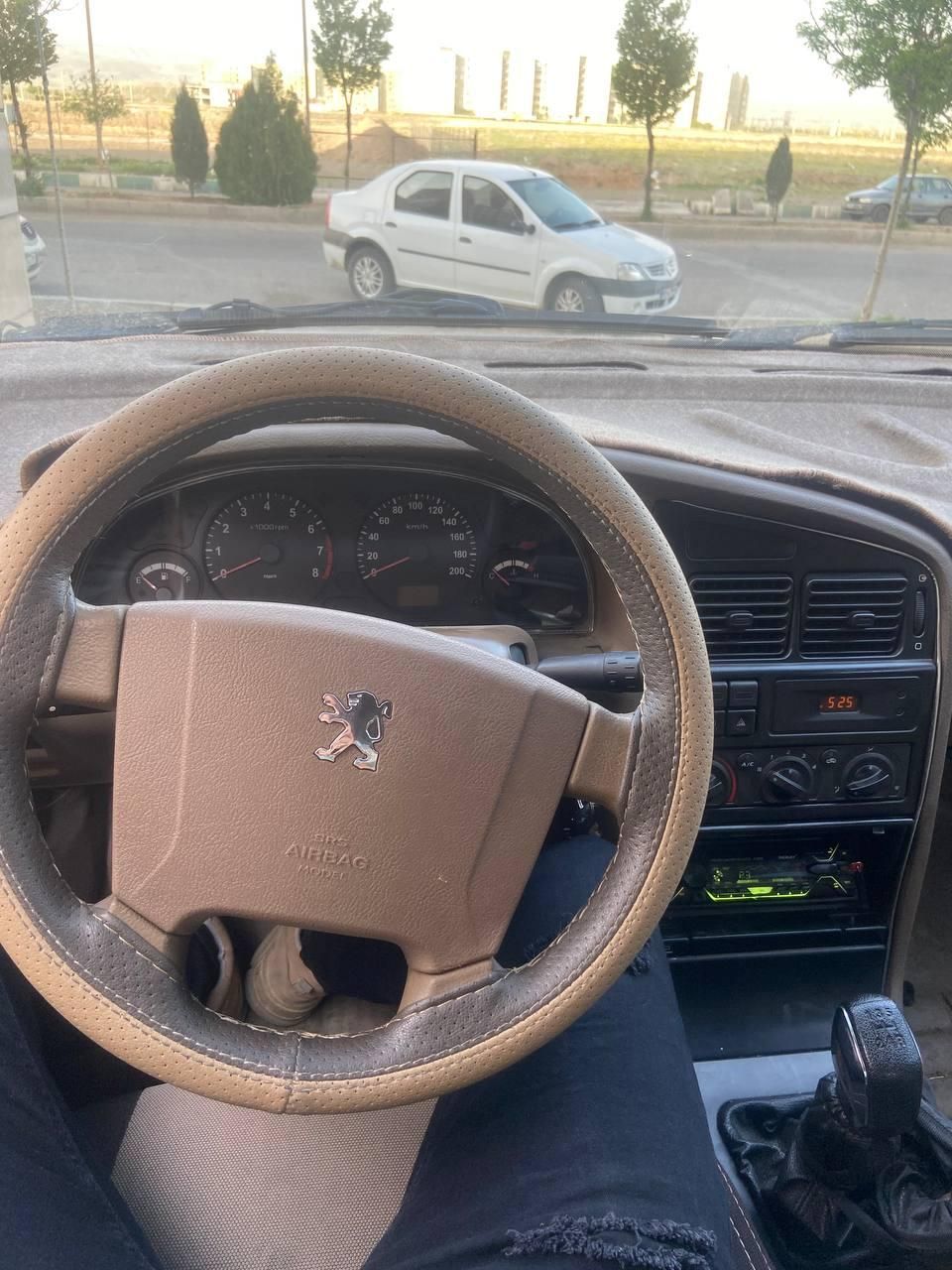 پژو 405 GL - دوگانه سوز CNG - 1370