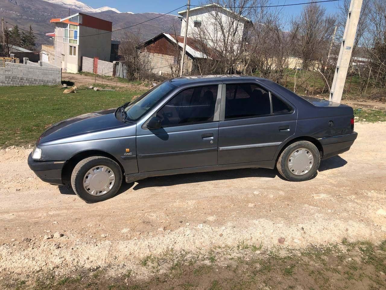 پژو 405 GLX - دوگانه سوز - 1394