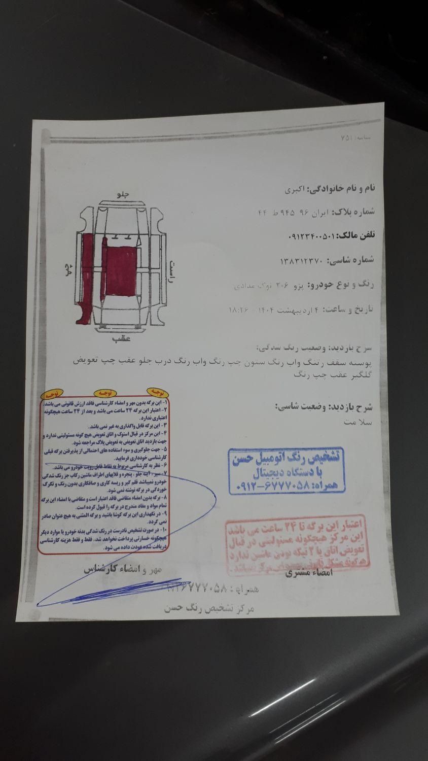 پژو 206 تیپ 5 - 1394