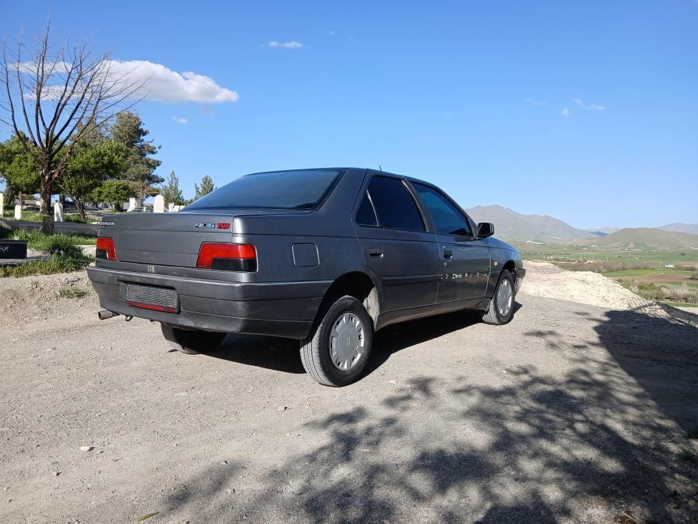 پژو 405 GLX - 1387
