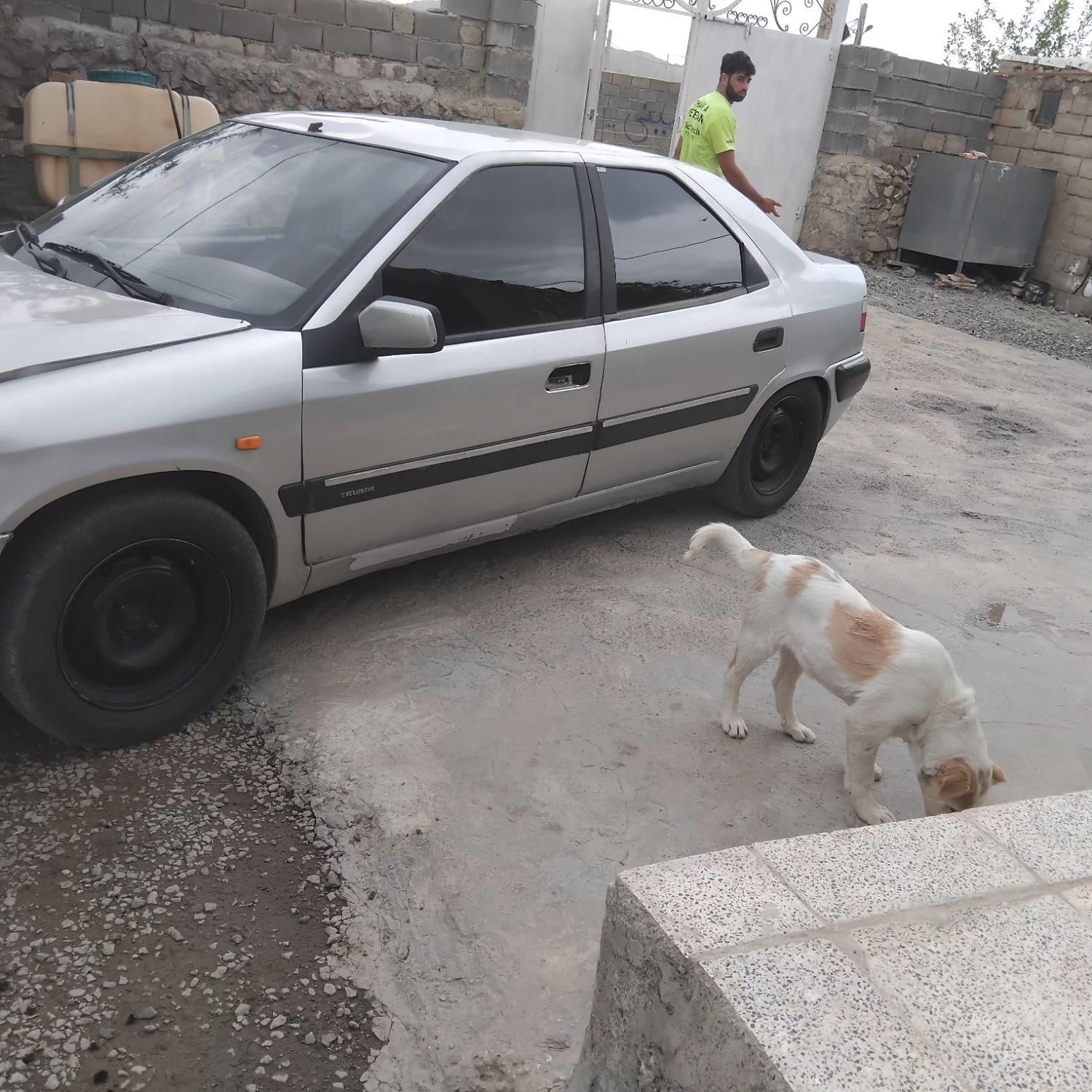 سیتروئن زانتیا X - 2004