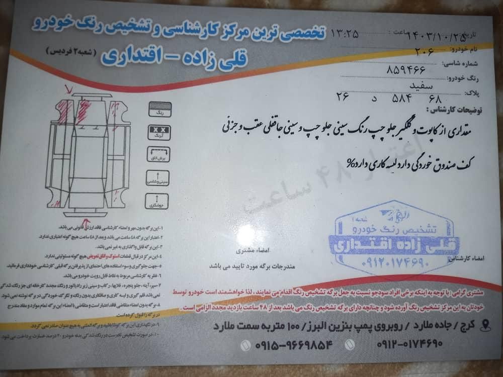 پژو 206 تیپ 5 - 1395