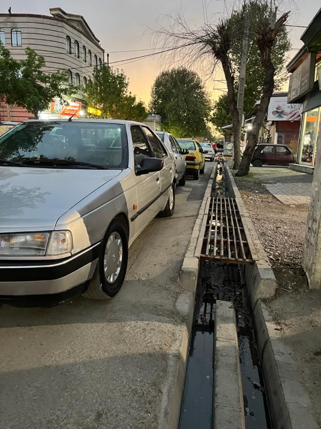 پژو 405 GLX - دوگانه سوز - 1389