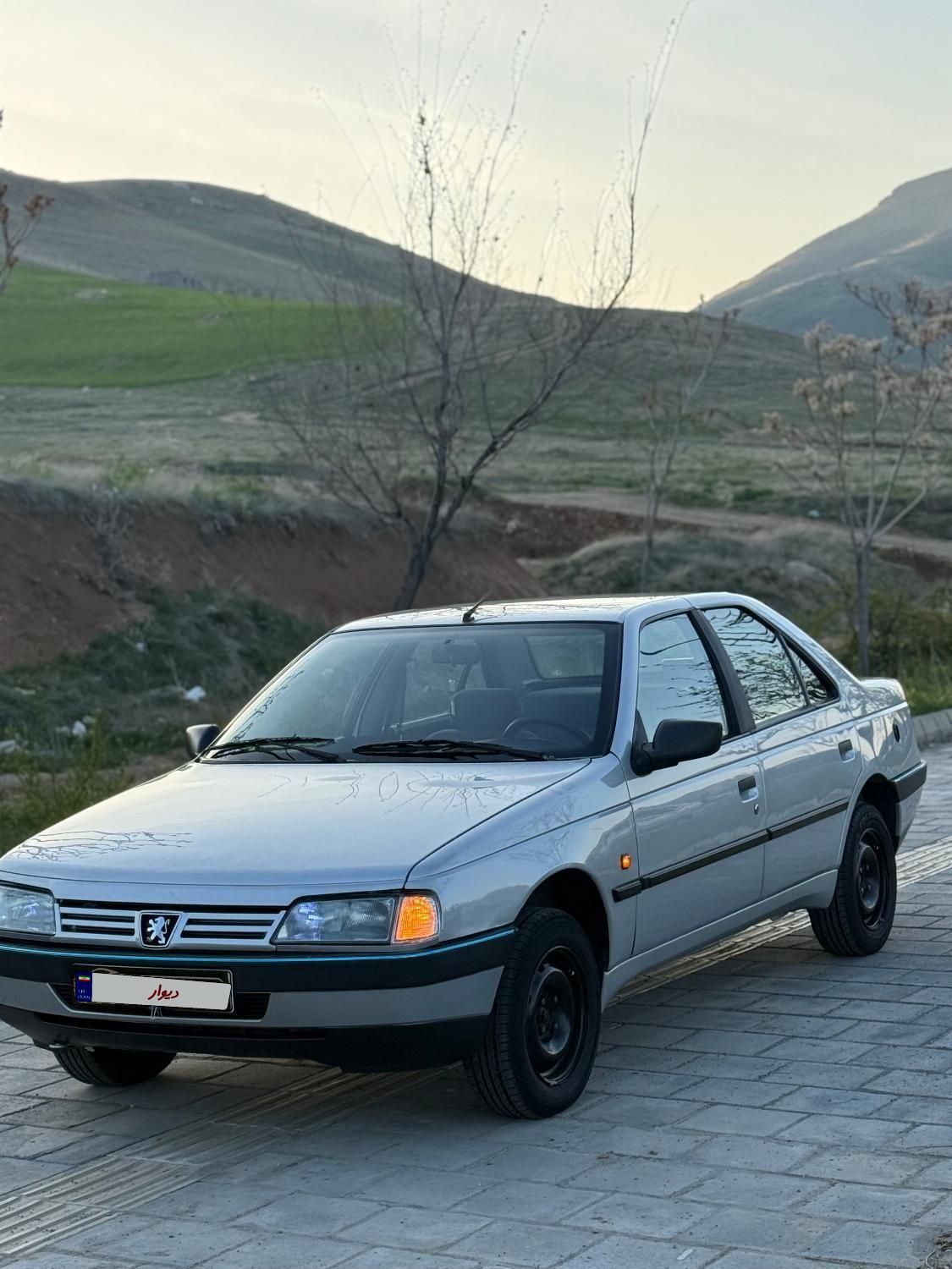 پژو 405 GLX - دوگانه سوز - 1387