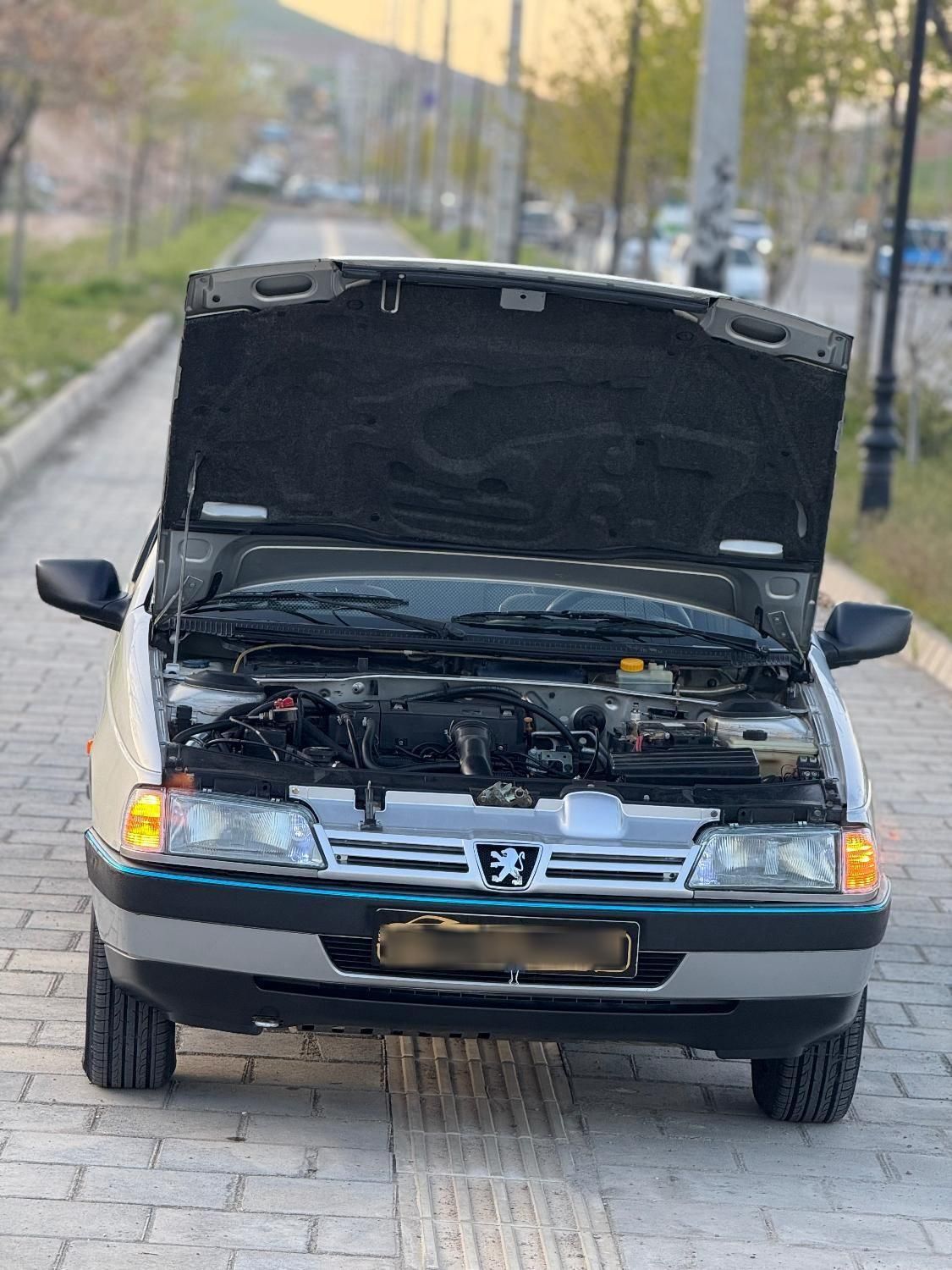 پژو 405 GLX - دوگانه سوز - 1387