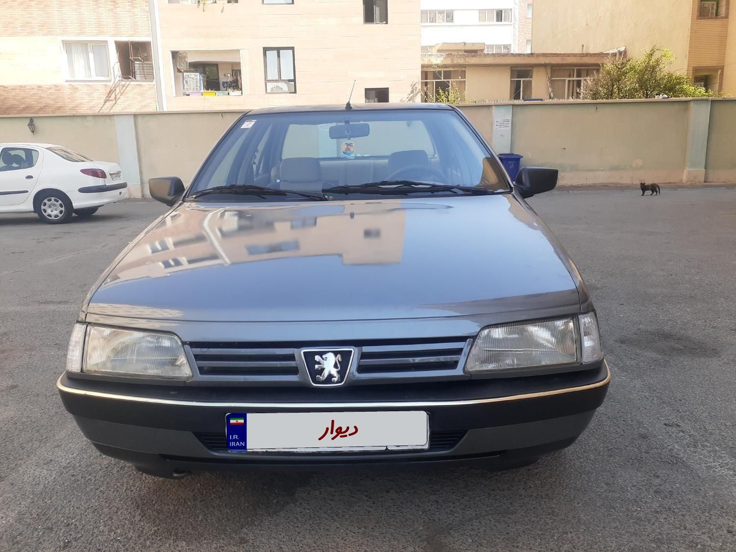 پژو 405 GLX - دوگانه سوز - 1390