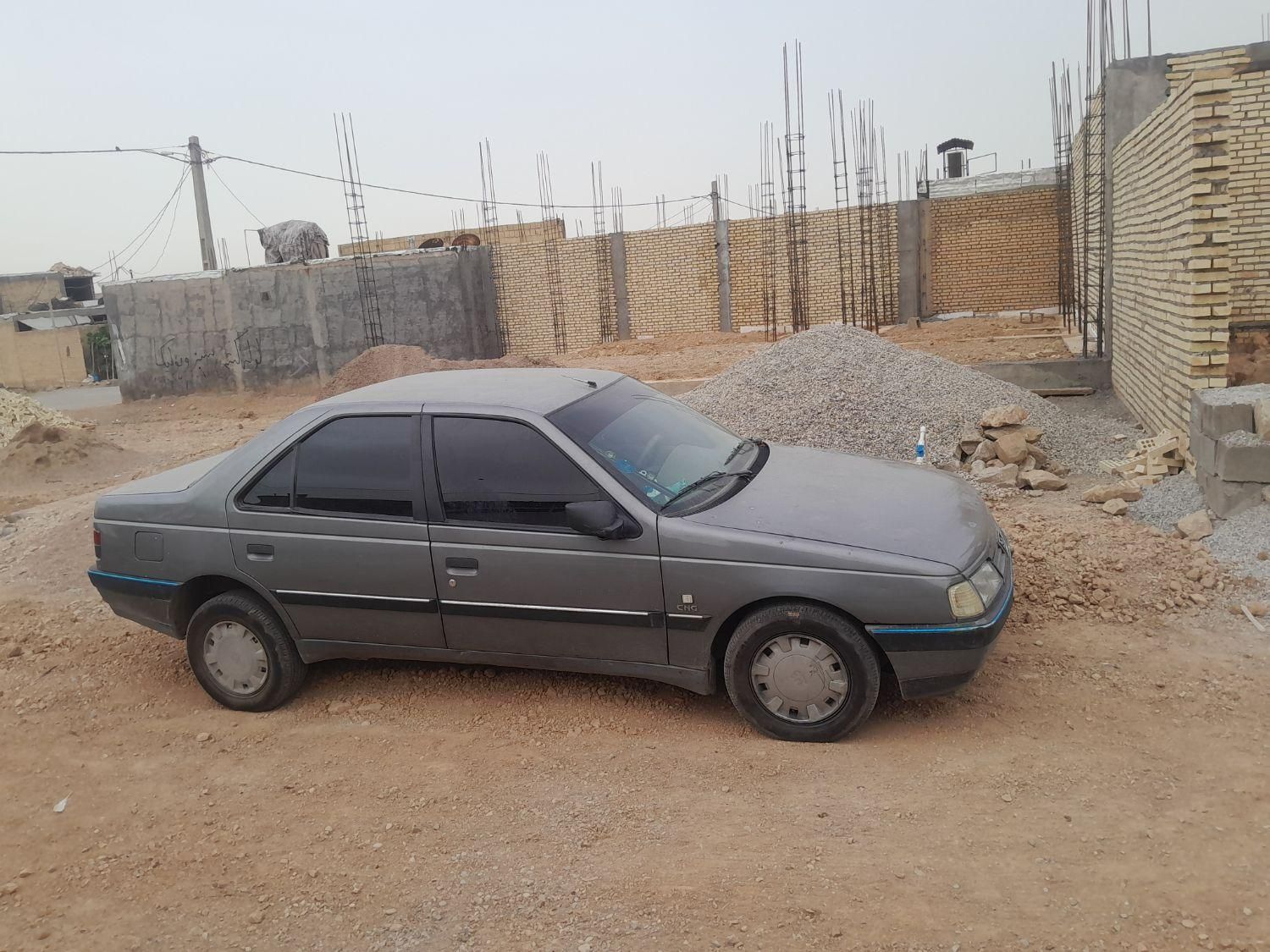 پژو 405 GLX - دوگانه سوز - 1389