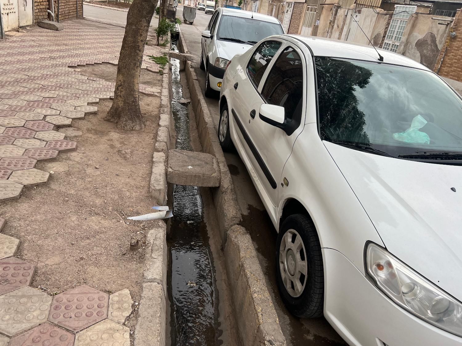 رانا LX - - 1392