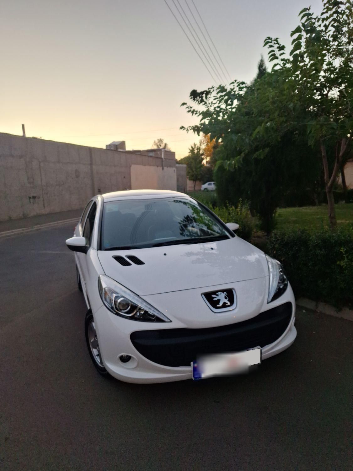 خودرو پژو، 207 آگهی ann_17775416