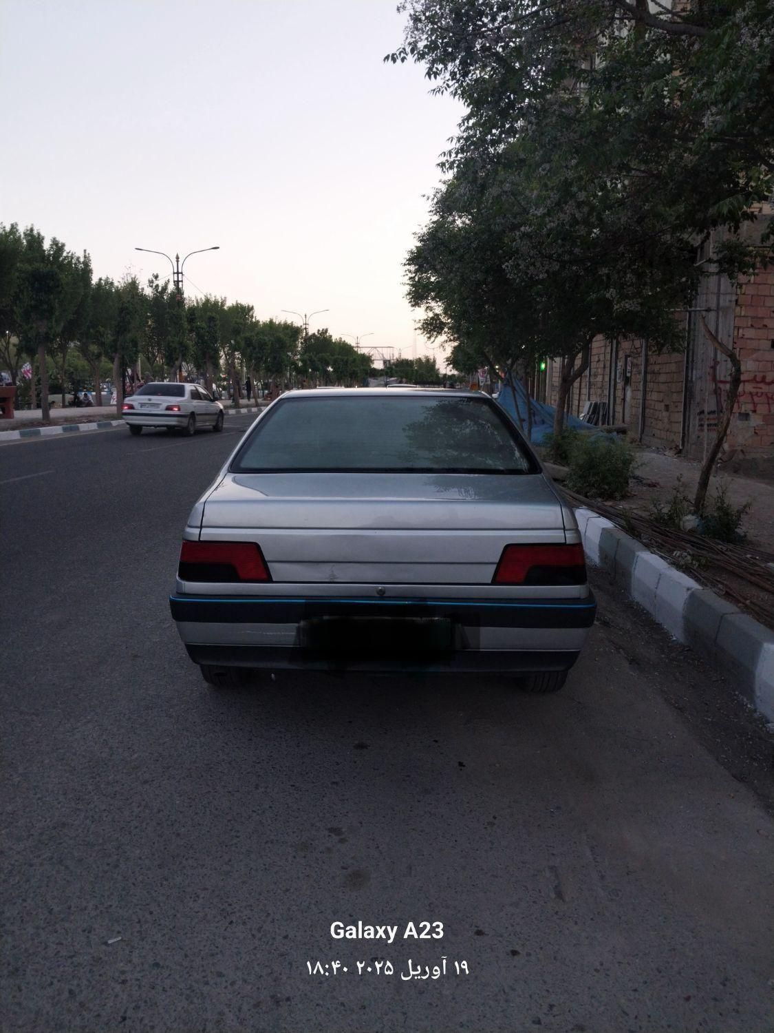 پژو 405 GLX - دوگانه سوز - 1393
