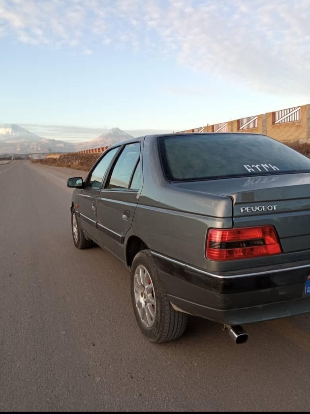پژو 405 SLX بنزینی TU5 - 1391