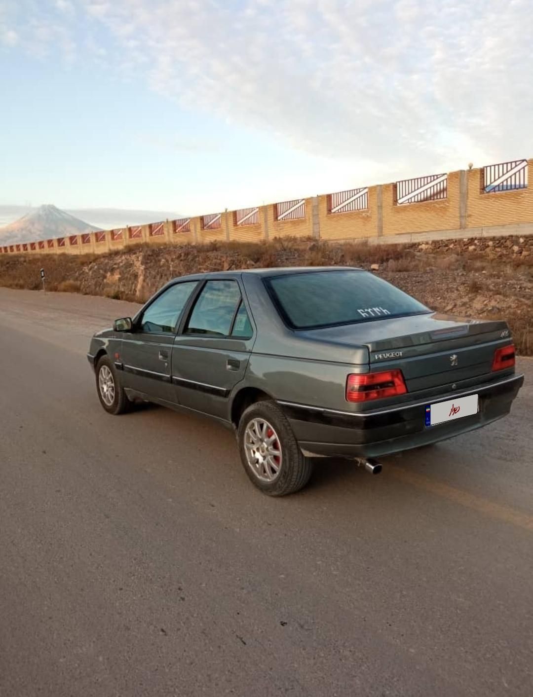پژو 405 SLX بنزینی TU5 - 1391