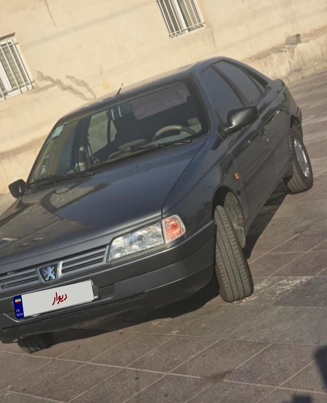 پژو 405 GL - دوگانه سوز CNG - 1369