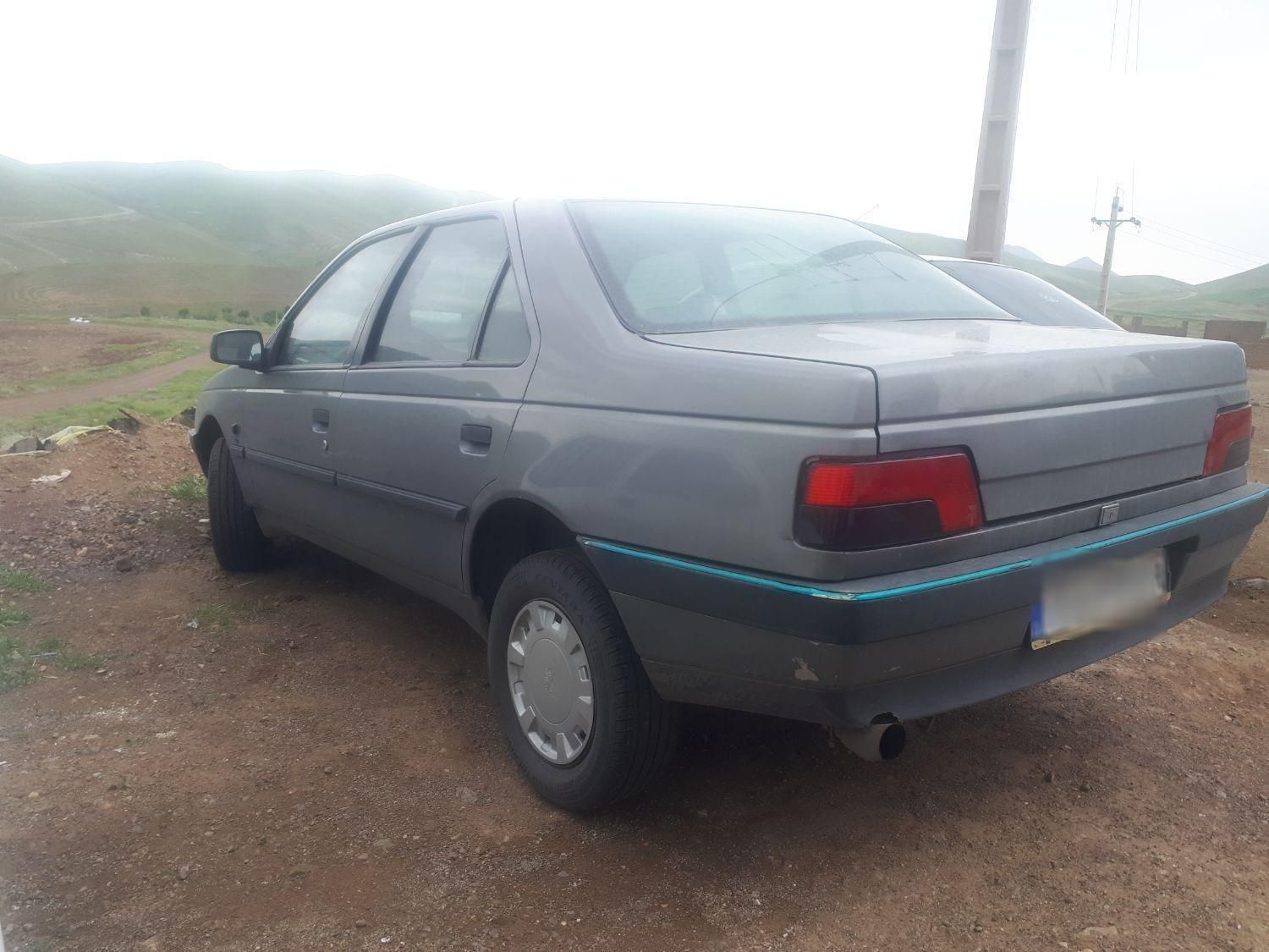 پژو 405 GLX - 1388
