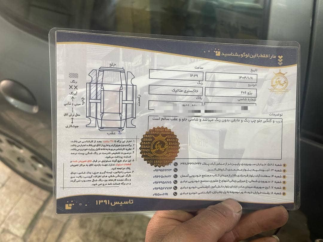 پژو 206 تیپ 5 - 1395
