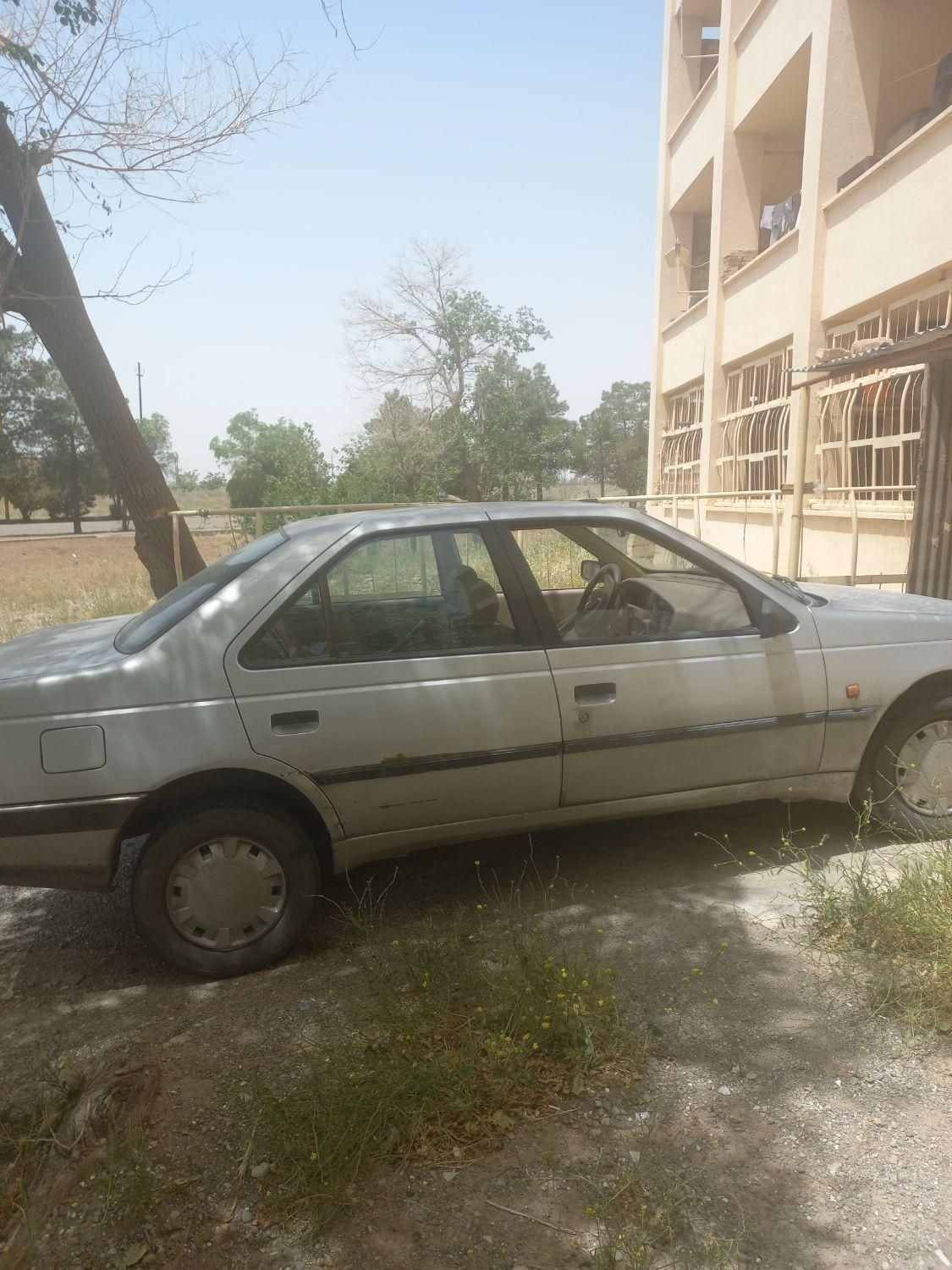 پژو 405 GLX - دوگانه سوز - 1389