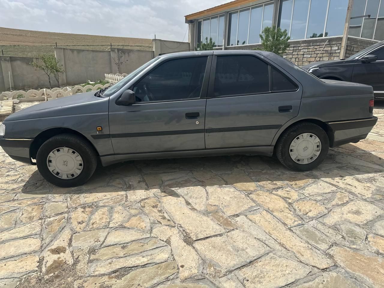 پژو 405 GLX - 1394
