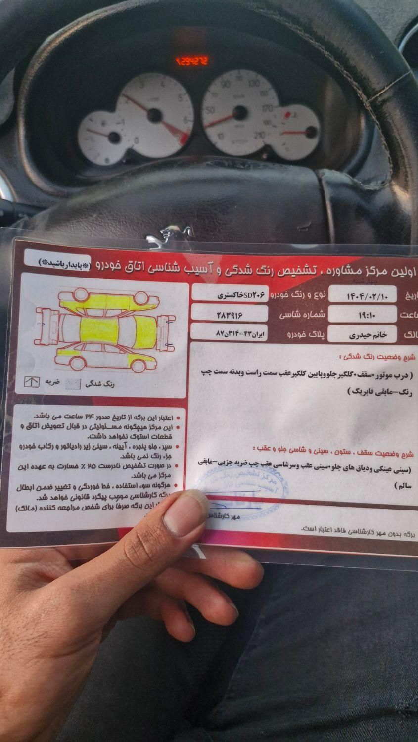 پژو 206 تیپ 5 - 1389