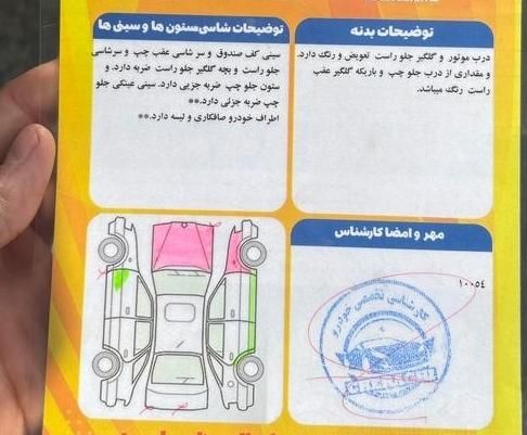 پژو 206 تیپ 2 - 1395