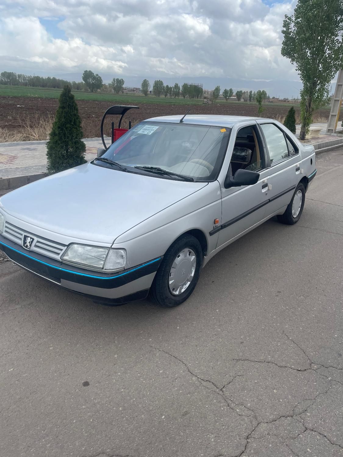 پژو 405 GL - دوگانه سوز CNG - 1373