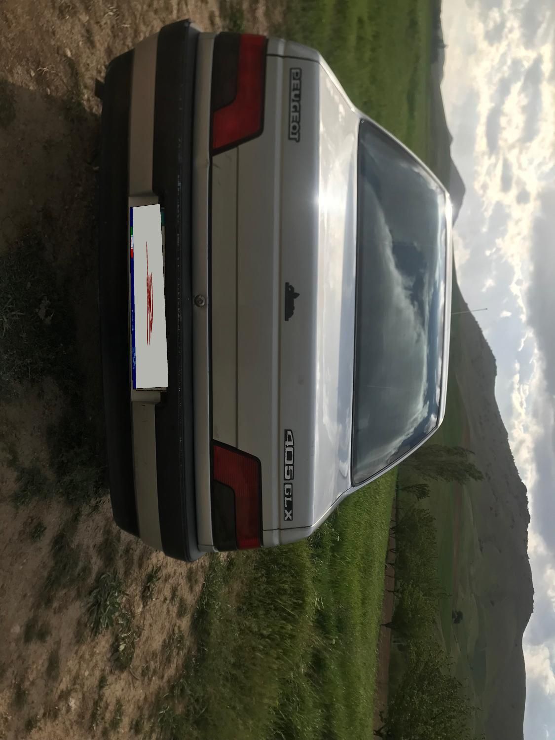 پژو 405 GLX - دوگانه سوز - 1390