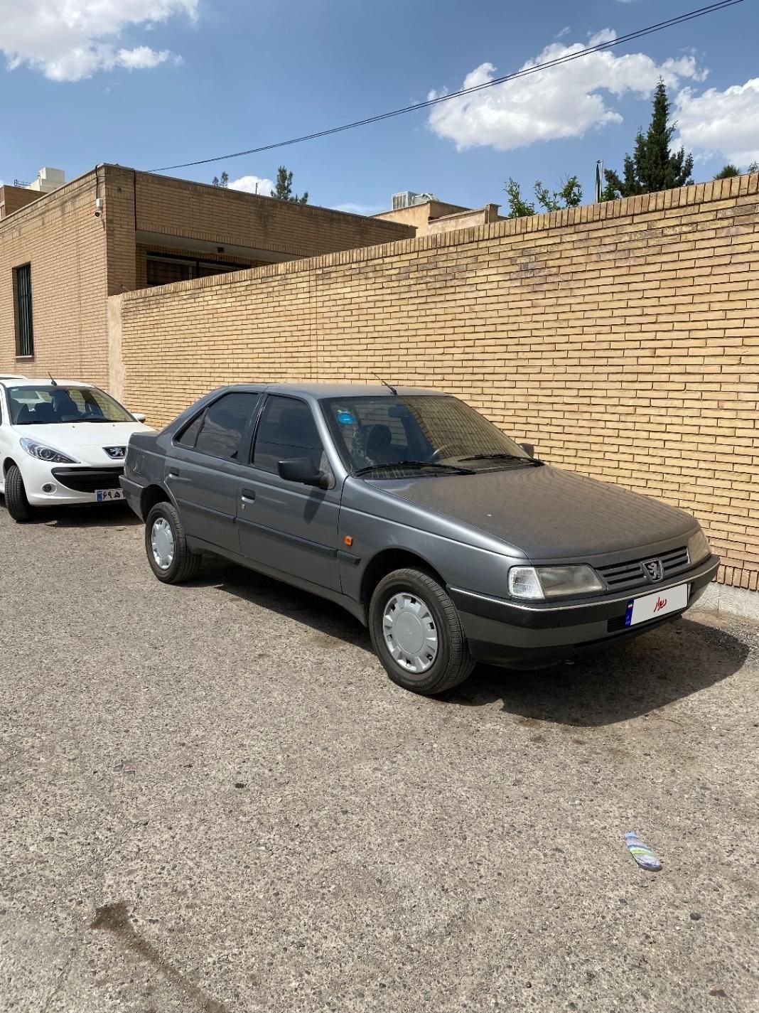 پژو 405 GLX - دوگانه سوز - 1391