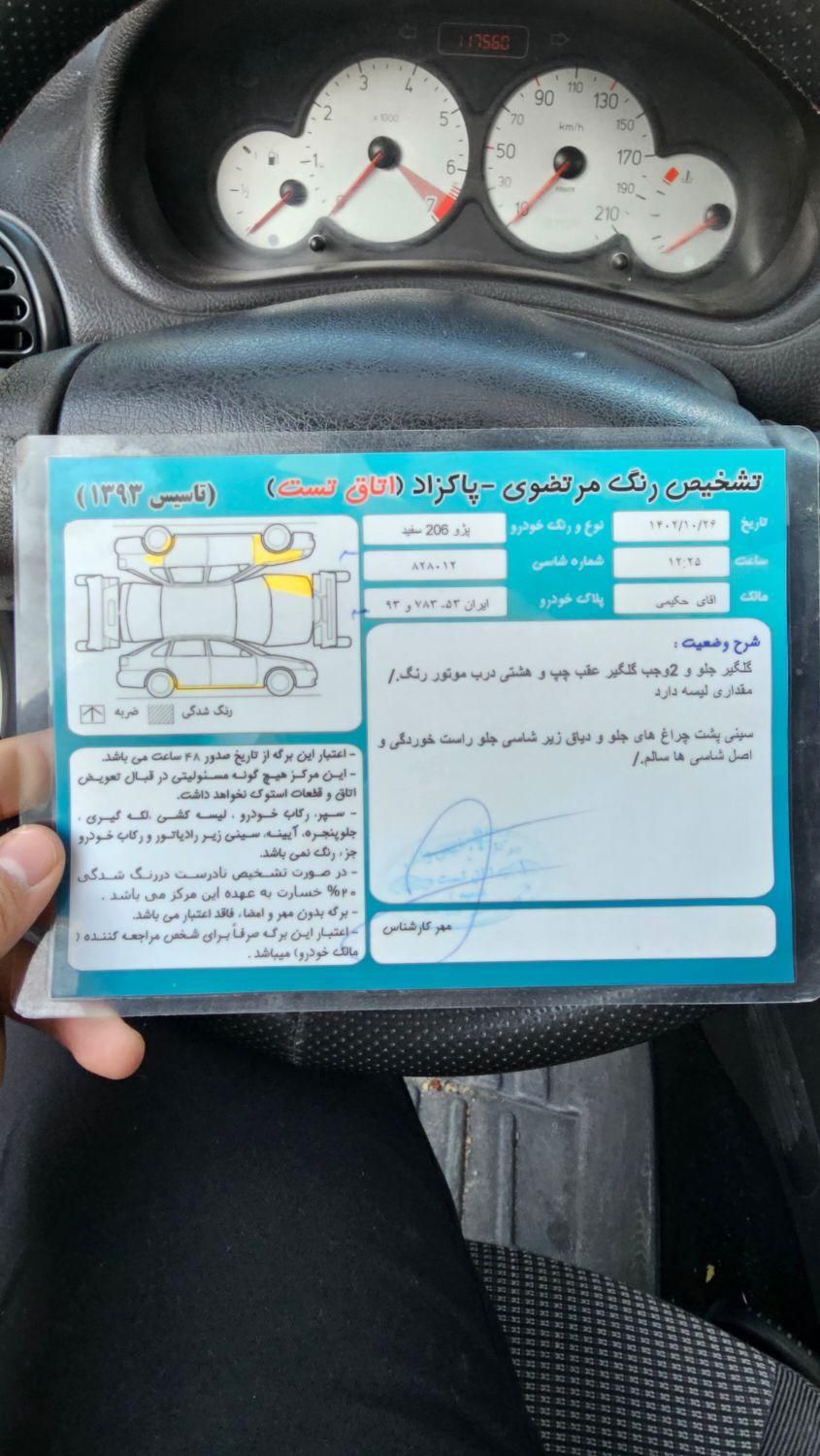 پژو 206 تیپ 3 - 1395
