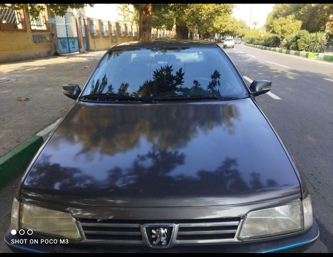 پژو 405 GLX - دوگانه سوز - 1381