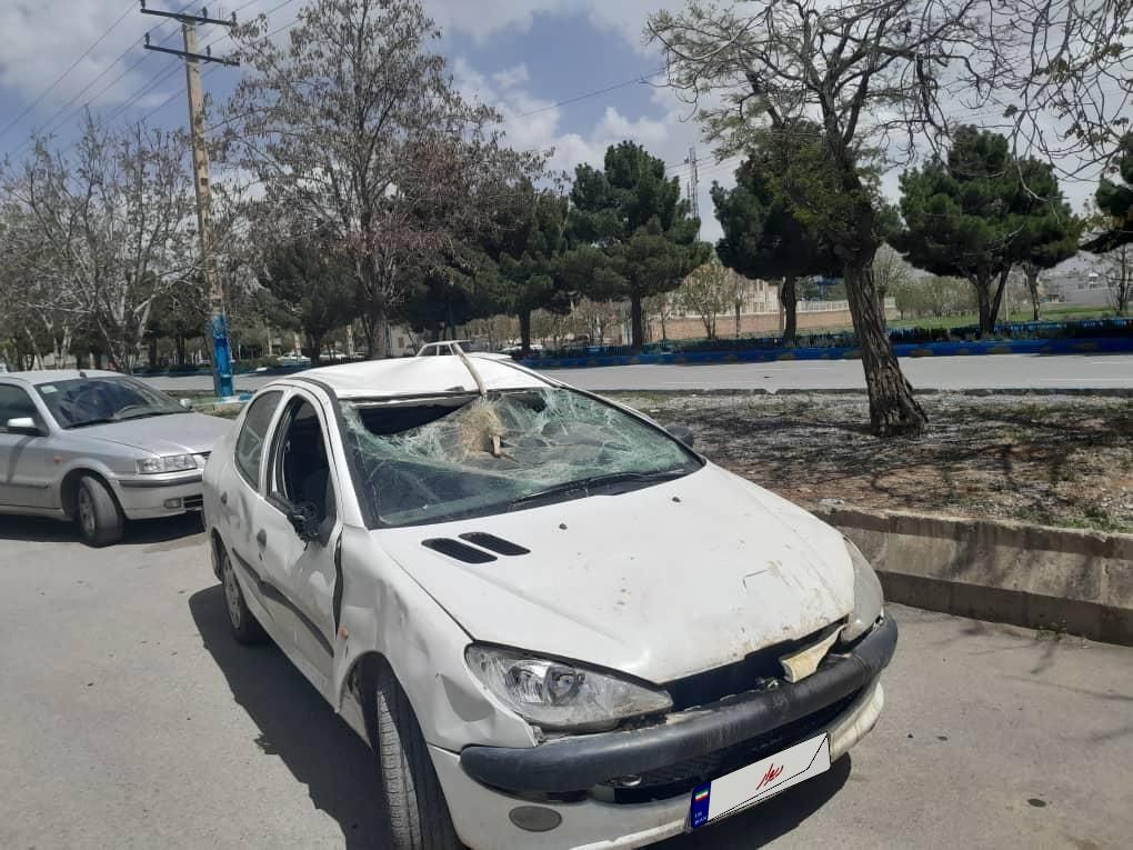 پژو 206 تیپ 5 - 1388