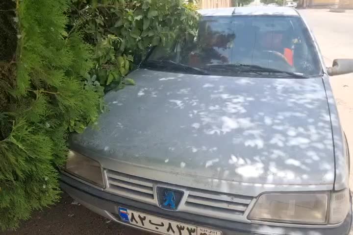 پژو 405 GLX - دوگانه سوز - 1385