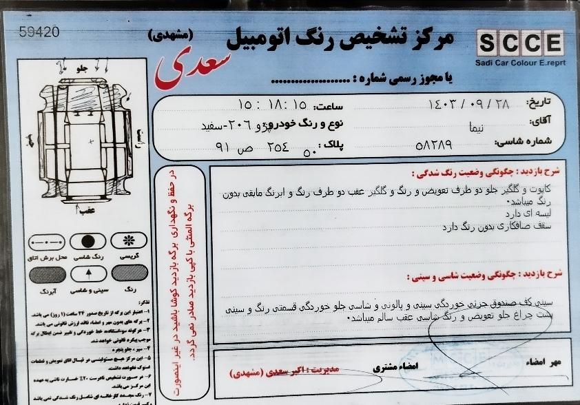 پژو 206 تیپ 2 - 1391