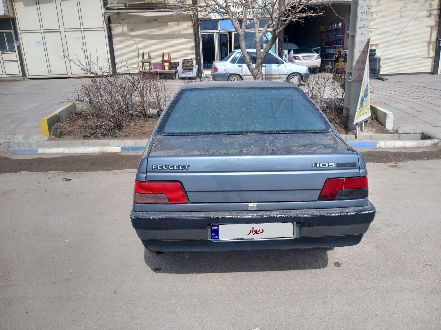 پژو 405 GL - دوگانه سوز CNG - 1369