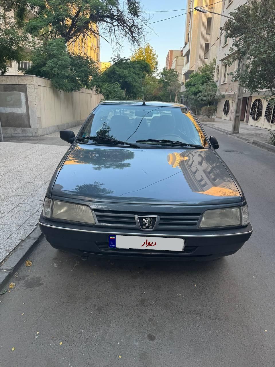 پژو 405 GLX - دوگانه سوز - 1399