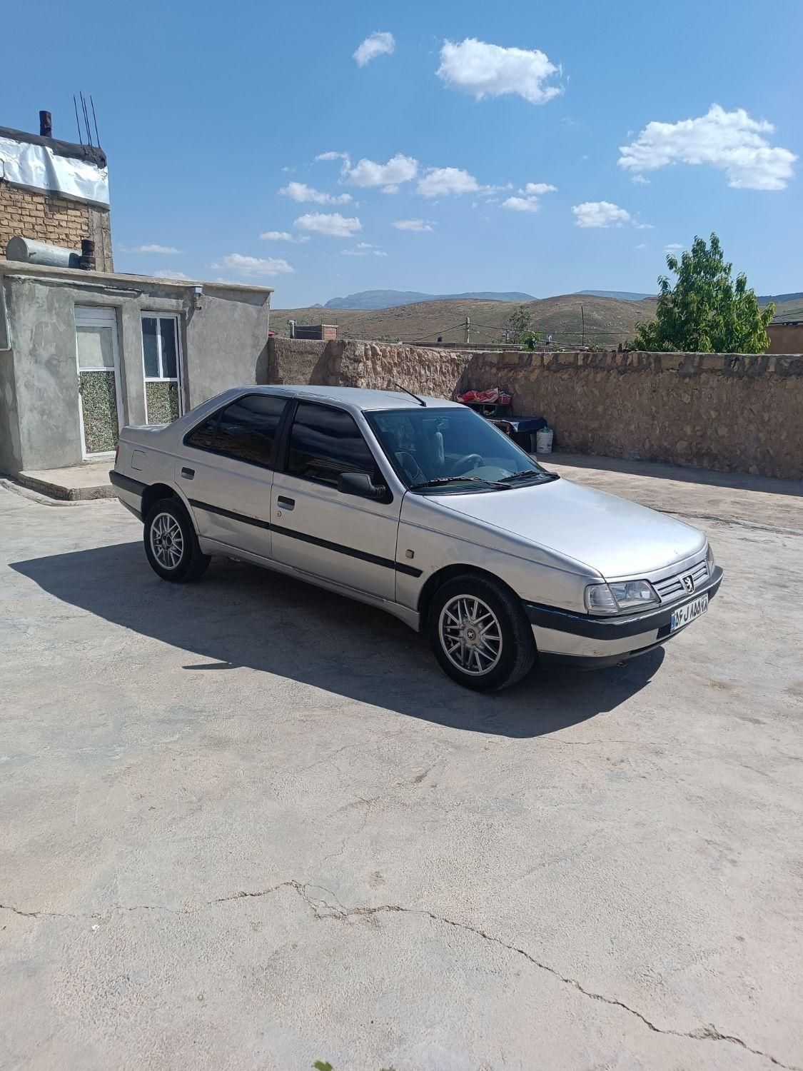 پژو 405 دوگانه سوز GLX - TU5 - 1389