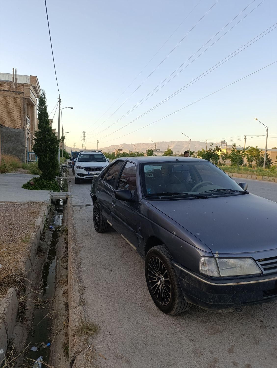 پژو 405 GLX - دوگانه سوز - 1395