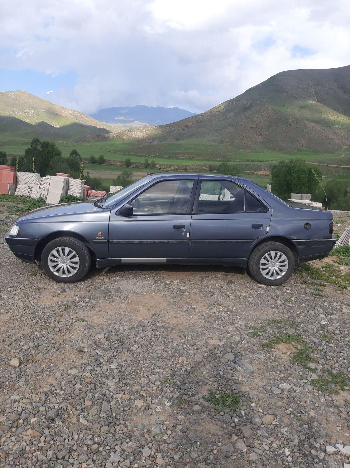 پژو 405 GLX - دوگانه سوز - 1396